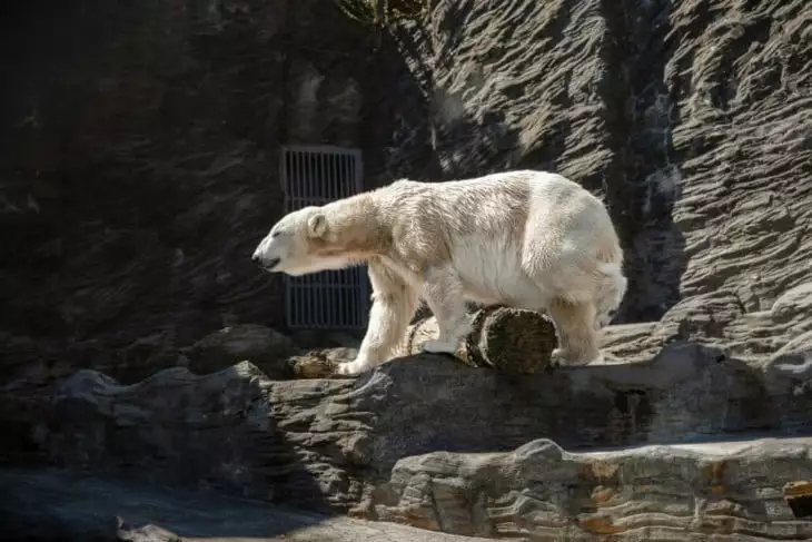 ZOO Praha cenník